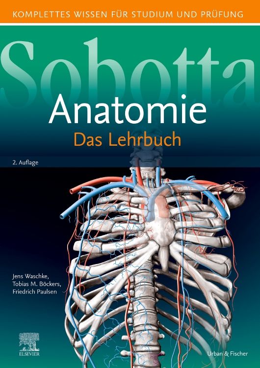 Buchcover von Sobotta Anatomie. Titel, Autoren, und ein Skelett mit Blutgefäßen sind abgebildet. Verlag: Urban & Fischer, Elsevier.