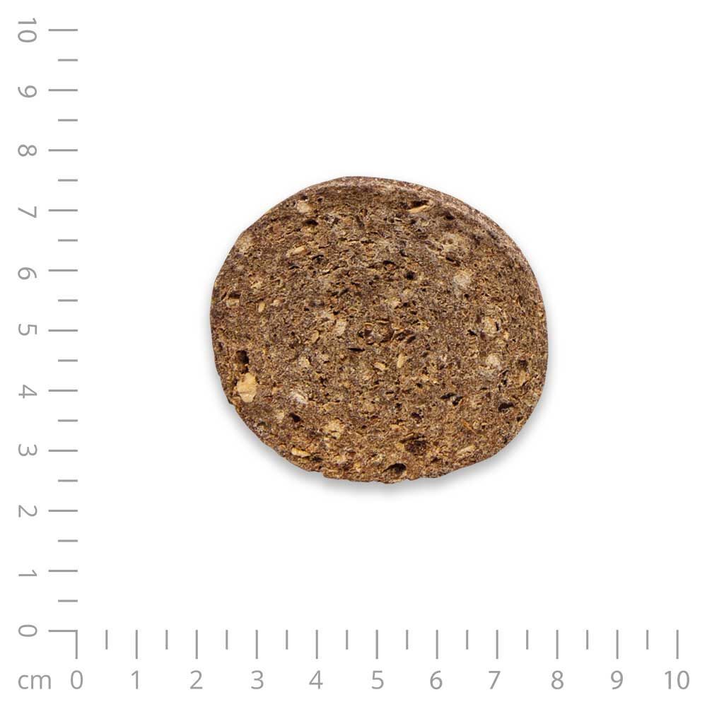 Schecker - Chipies - Krosse fleischige Chips-Taler für Hunde, Sorte: Rind
