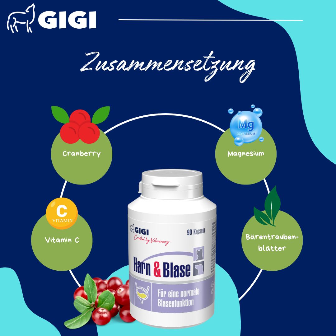 Flasche mit Pillen, Cranberrys, Vitamin C, Magnesium, Bärentraubenblätter. Text: Zusammensetzung. 90 Kapseln.