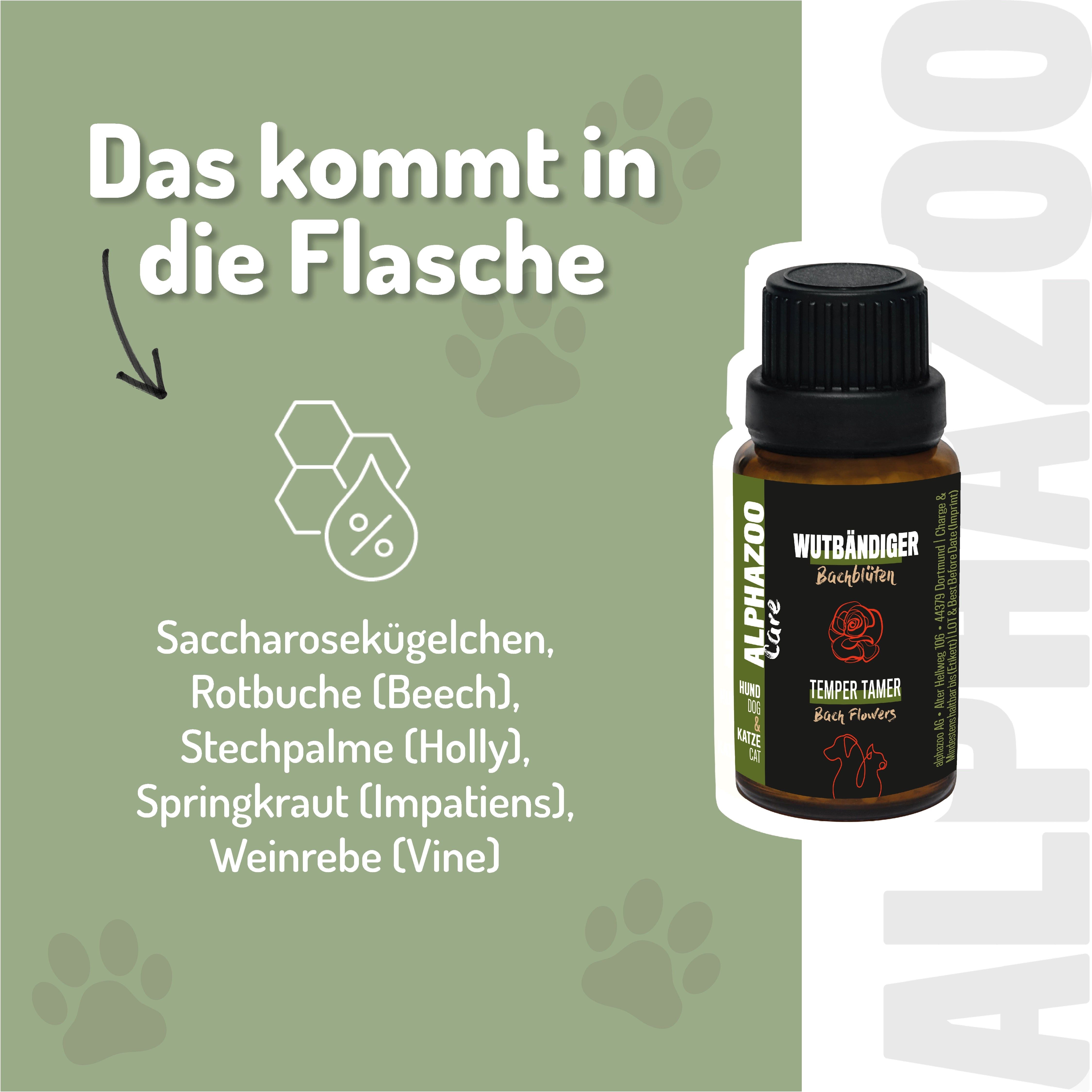 Glasflasche mit Globuli. Text: Was in die Flasche kommt. Inhaltsstoffe: Saccharosekügelchen, Rotbuche, Stechpalme, Springkraut, Weinrebe.