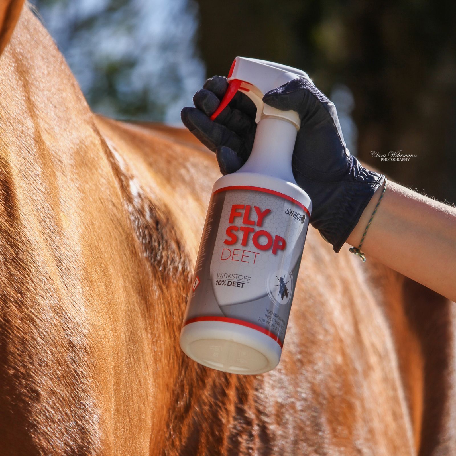 Person hält eine weiße Sprühflasche FLY STOP DEET. Roter Sprühkopf. Anwendung auf einem Pferd.