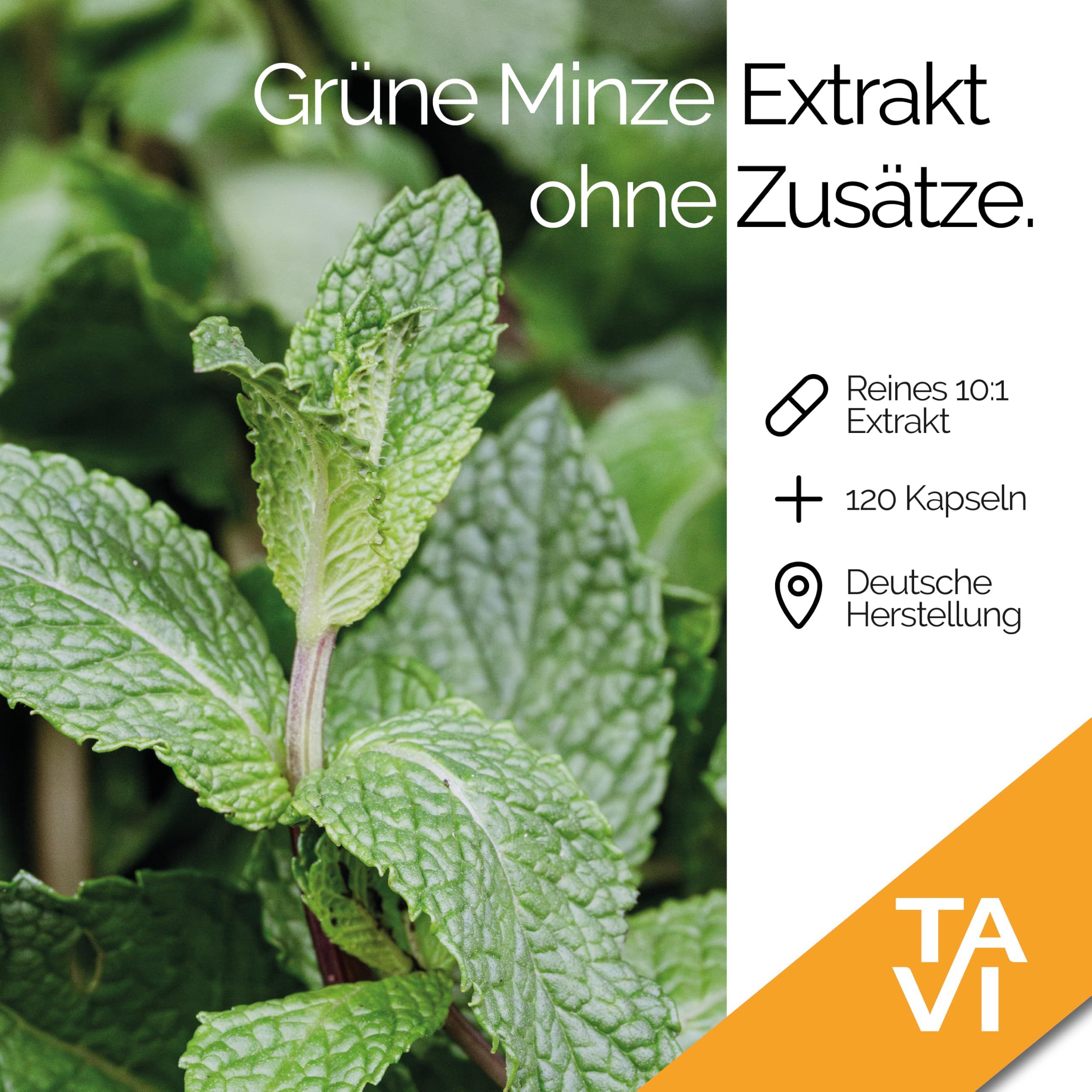 TAVI® Grüne Minze Extrakt Kapseln (Spearmint, Mentha spicata 10:1)