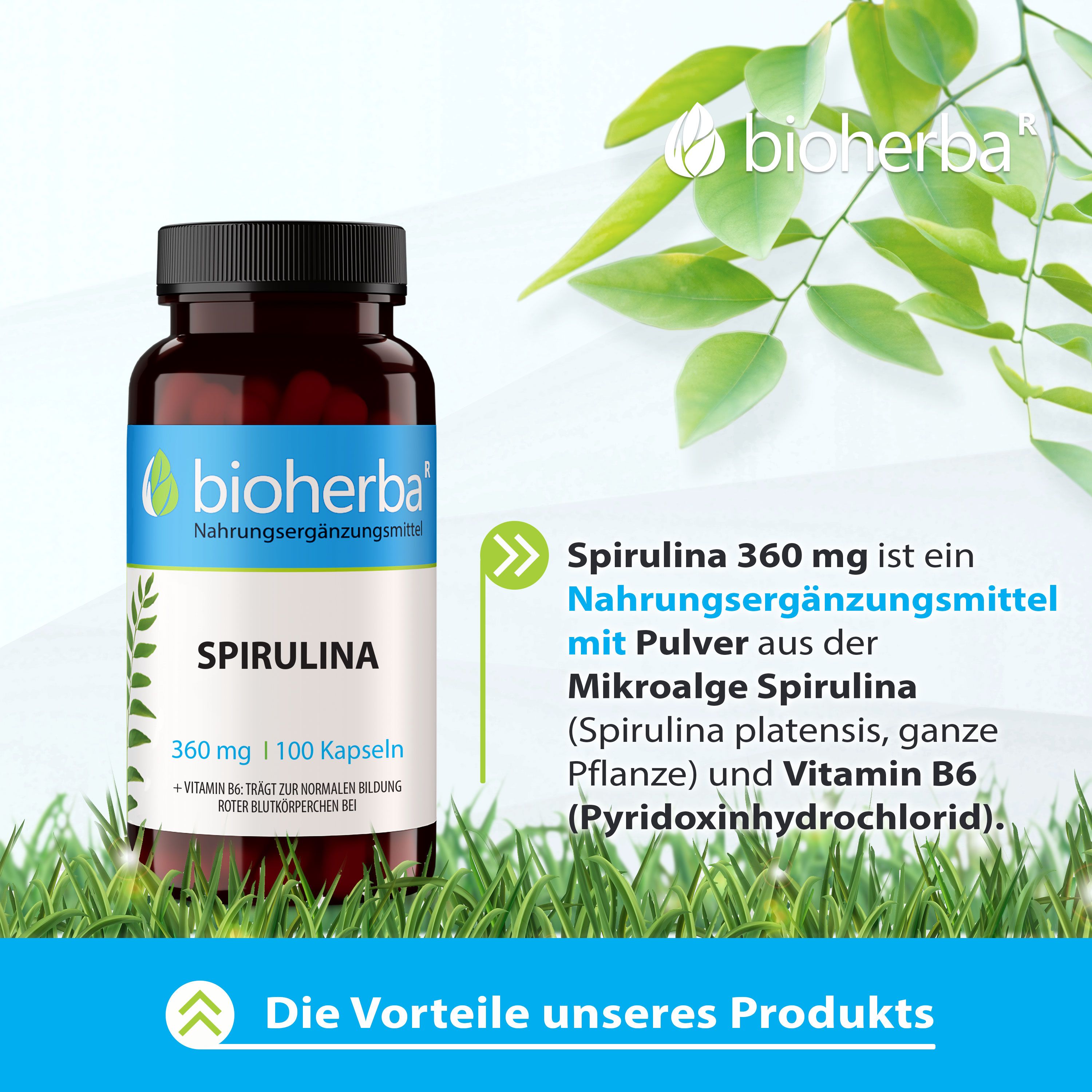 Braune Flasche Bioherba Spirulina Kapseln. 100 Kapseln. Text: Spirulina 360 mg. Grünpflanzen-Hintergrund.