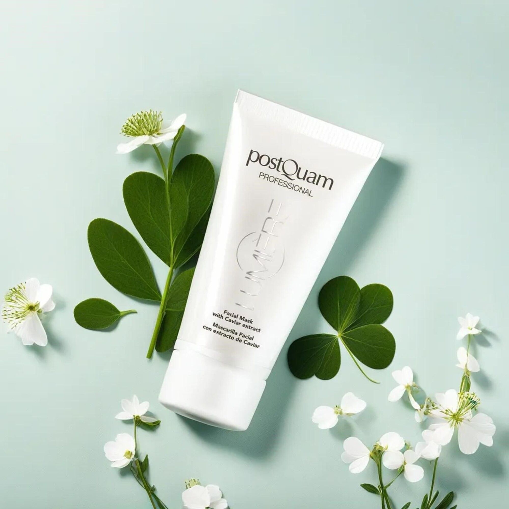 Weiße Tube auf hellblauem Hintergrund mit Blättern und Blüten. Aufschrift: Postquam Professional, Lumière, Facial Mask with Caviar extract.