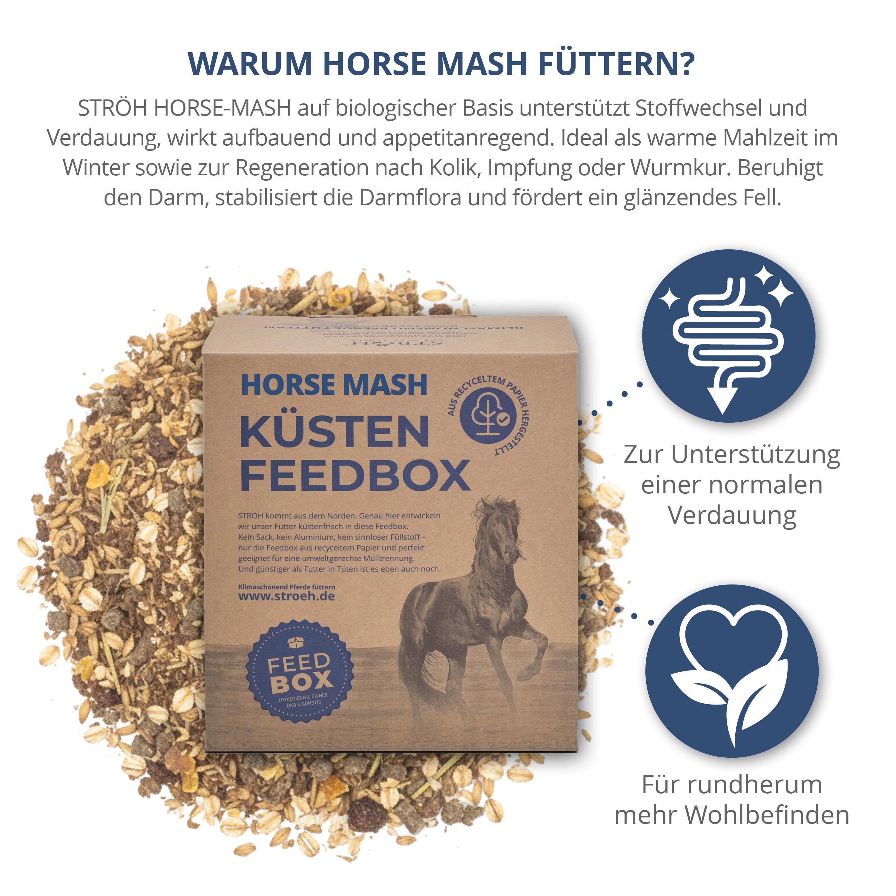 Karton Horse Mash Feedbox, umgeben von Futter. Text: Warum Horse Mash füttern? Vorteile, Darmflora.
