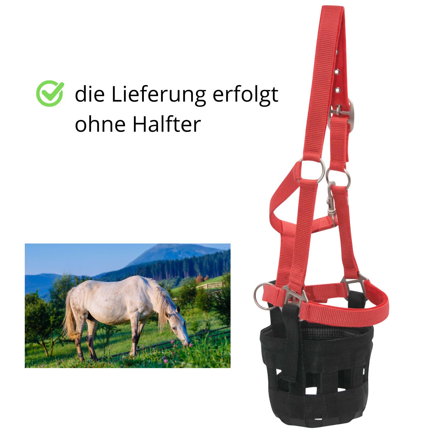 Rotes Halfter mit schwarzem Maulkorb. Text: Die Lieferung erfolgt ohne Halfter.