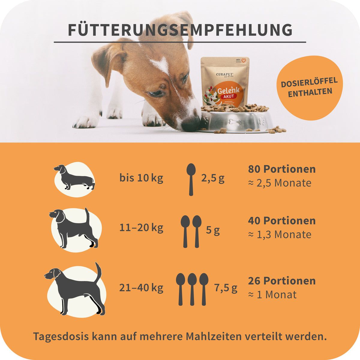 Fütterungsempfehlung für Hunde. Dosierlöffel enthalten. Angaben für bis 10 kg, 11-20 kg und 21-40 kg. Tagesdosis kann auf mehrere Mahlzeiten verteilt werden.