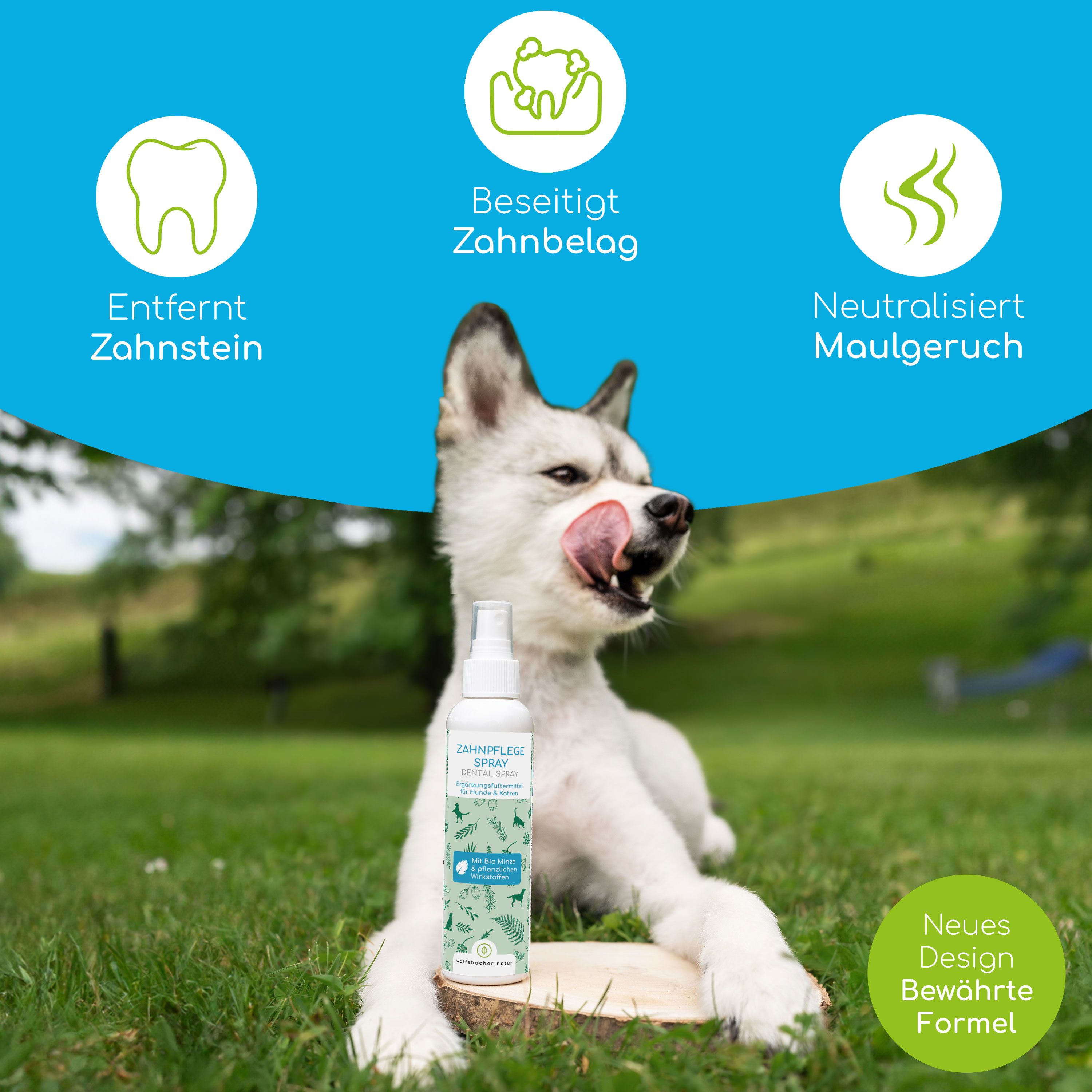 Hund mit Zunge, neben Flasche 'Zahnpflege Spray'. Text: 'Entfernt Zahnstein', 'Beseitigt Zahnbelag', 'Neutralisiert Maulgeruch'.