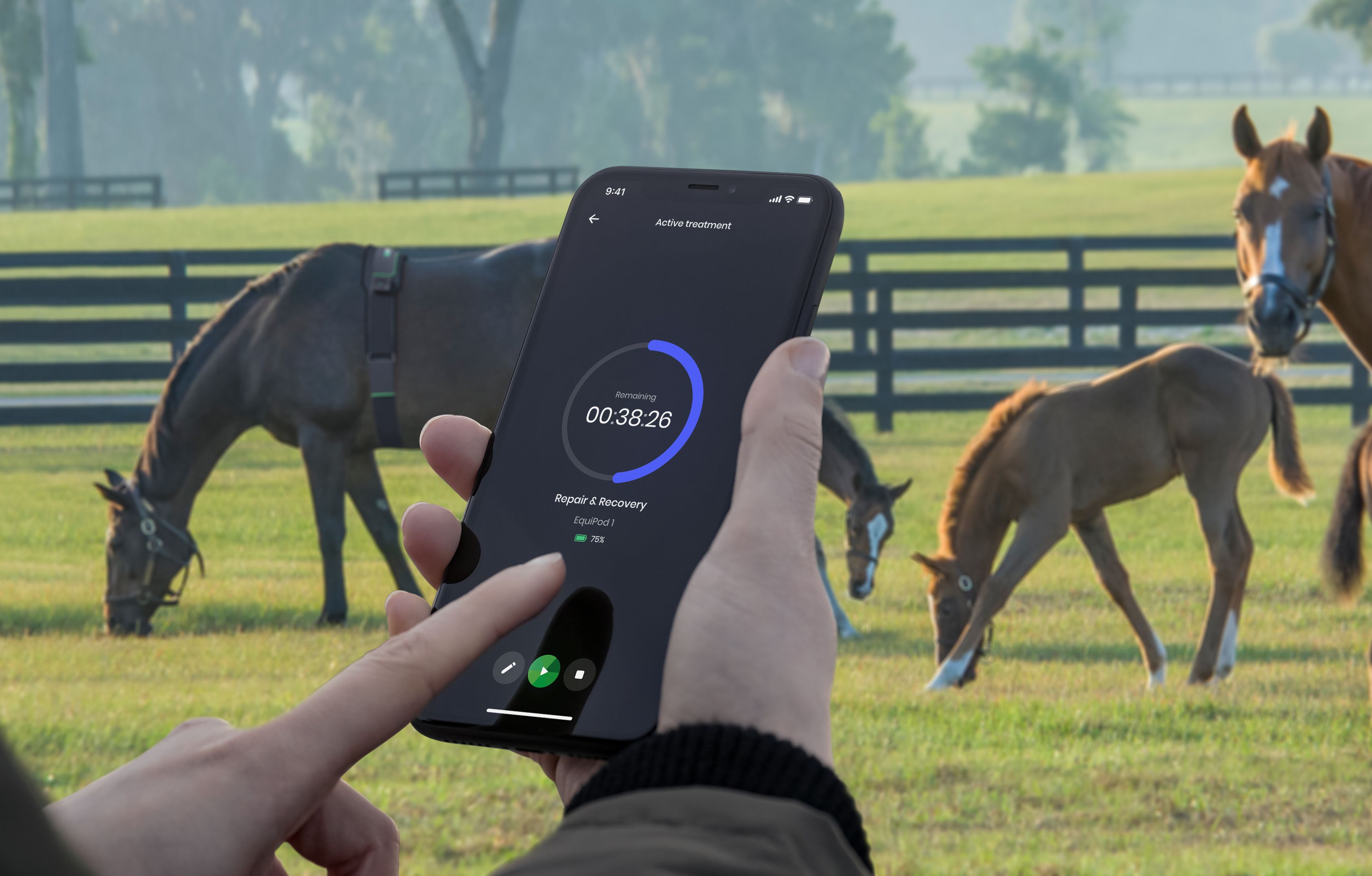 Smartphone mit EquiPod-App. Zeigt eine laufende Behandlung an. Pferde auf einer Weide im Hintergrund.