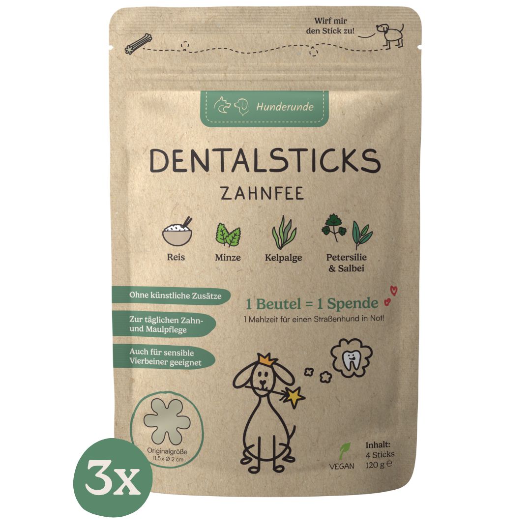 Hunderunde Dentals Zahnfee