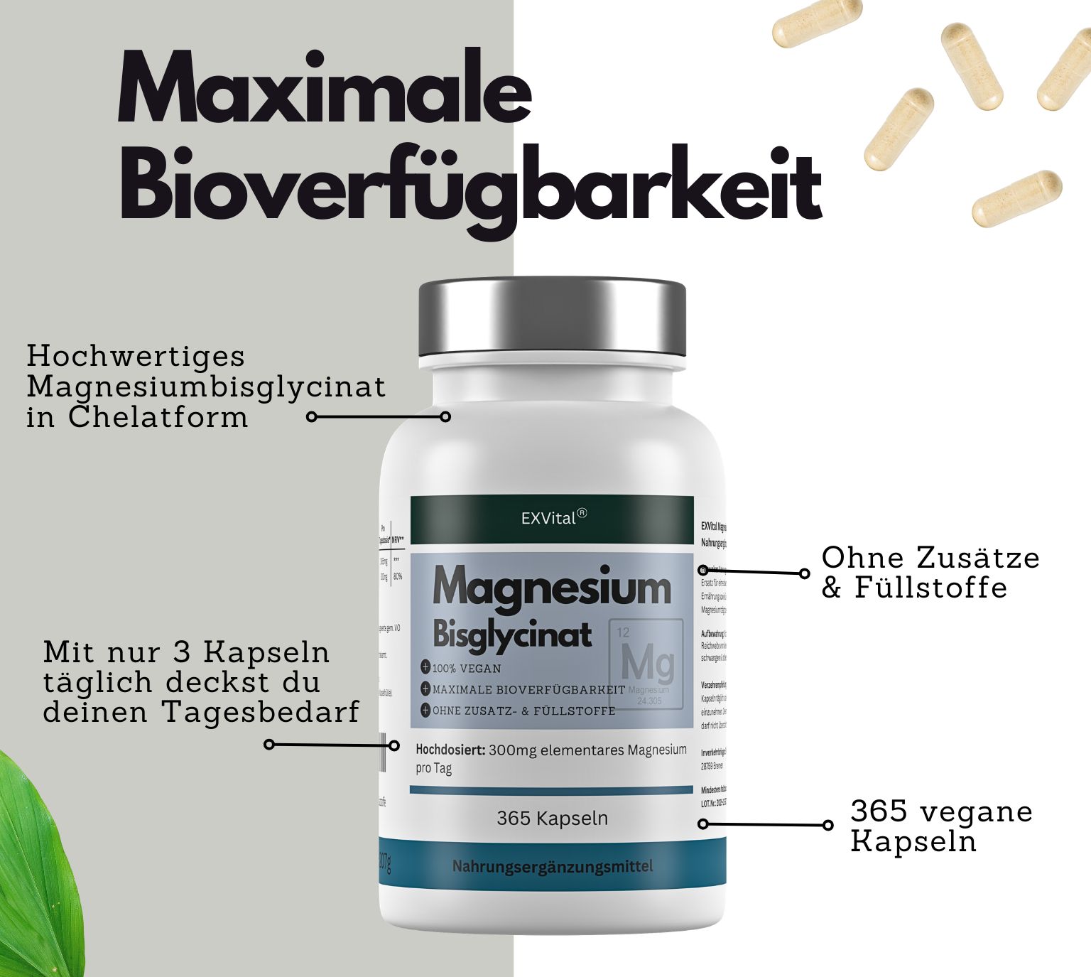 Dose EXVital Magnesium Bisglycinat, 365 vegane Kapseln, hochdosiert.