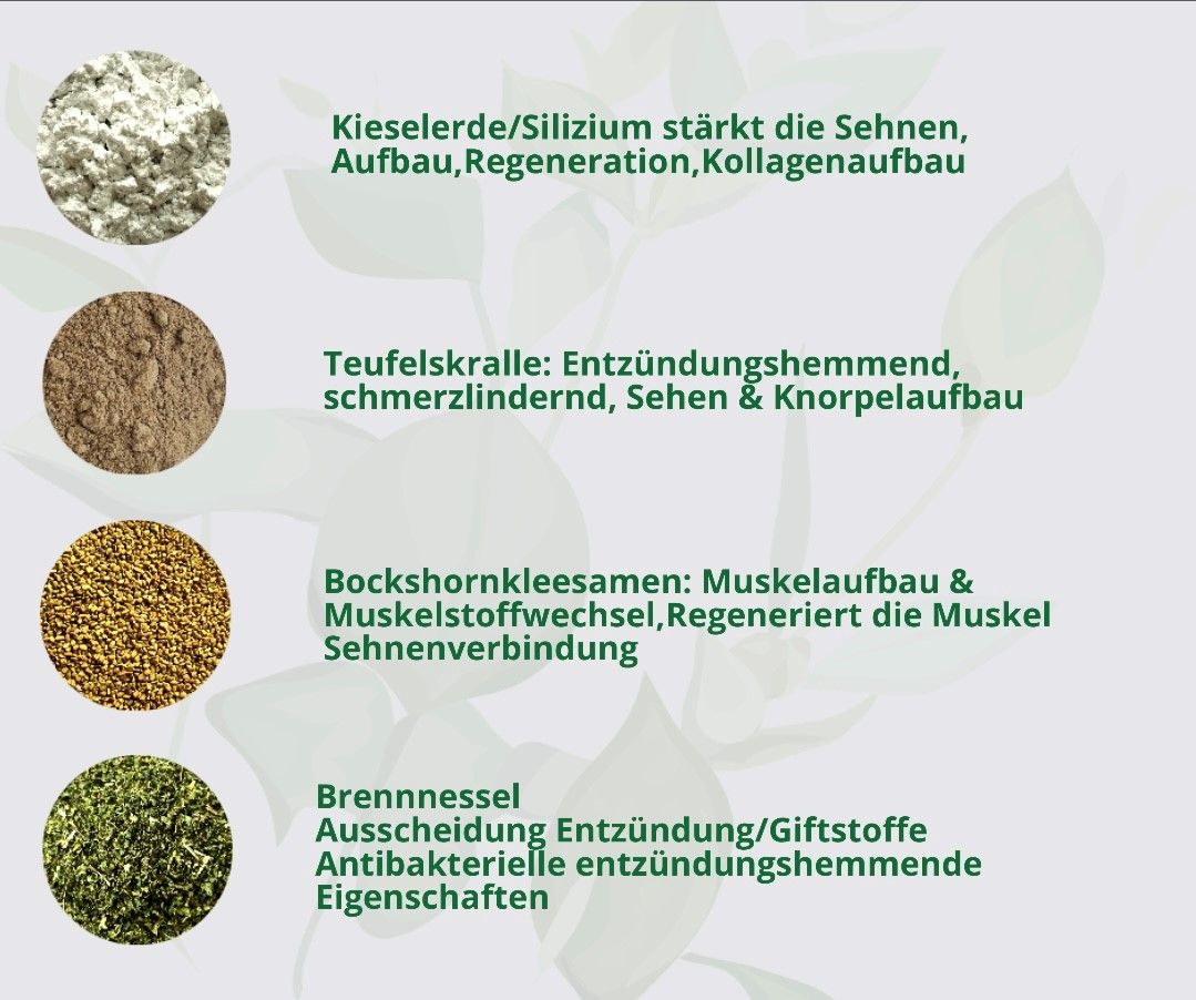 Hand aufs Pferd/Hund Sehnen Kräuter Gehfreude