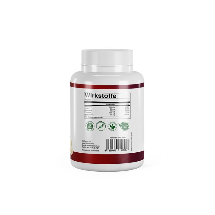 VitaSanum®- FerroVital 60 St Kapseln