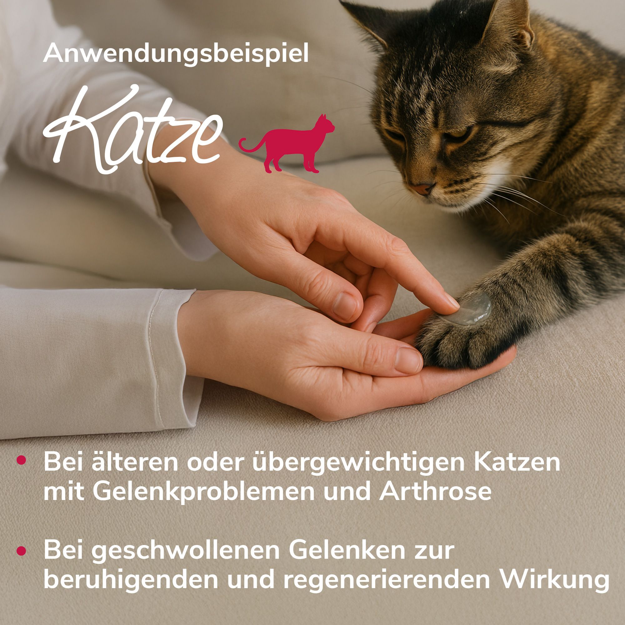 HerzensTier Gelenkwundergel für Pferde, Hunde & Katzen