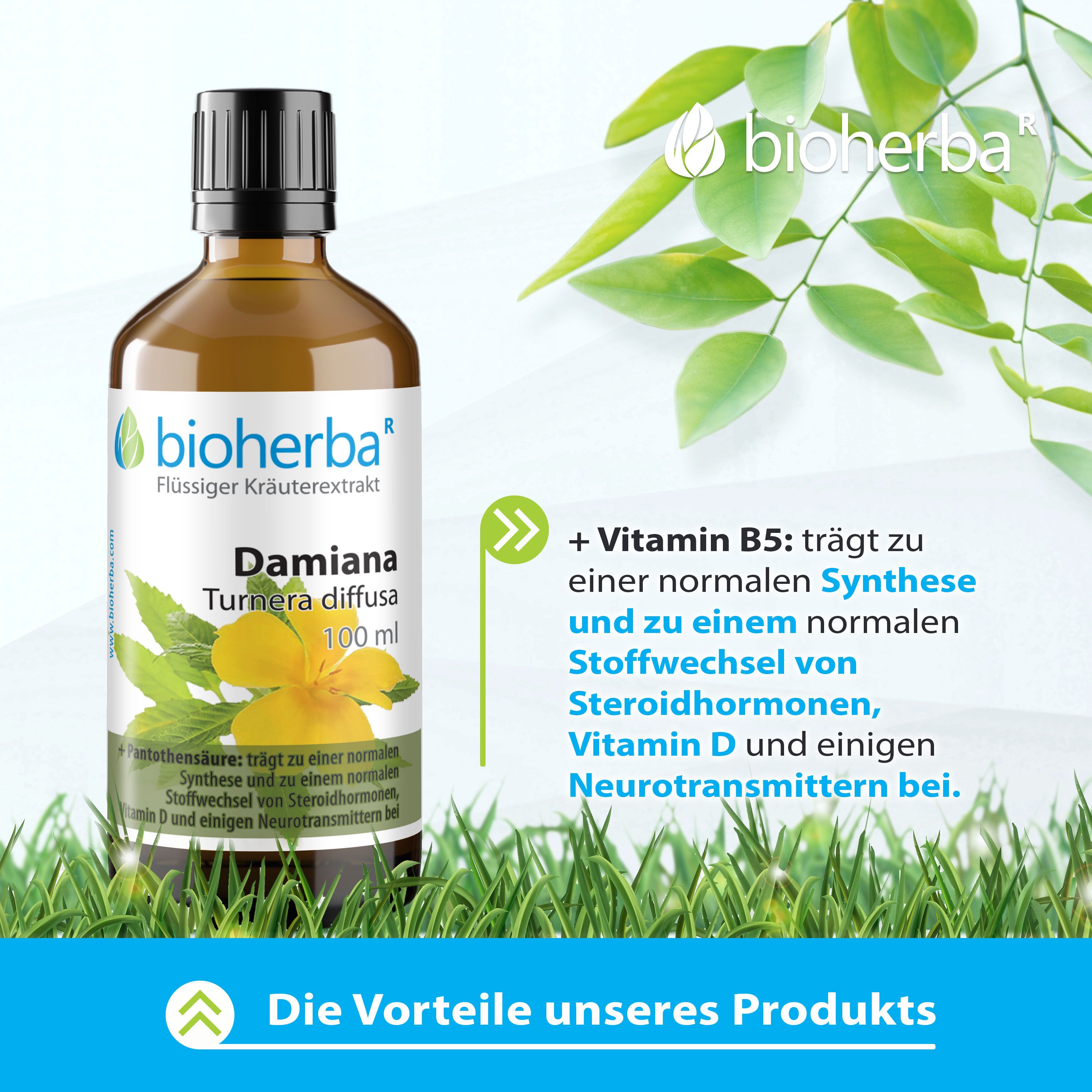 Bioherba Damiana Turnera diffusa Tropfen Tinktur