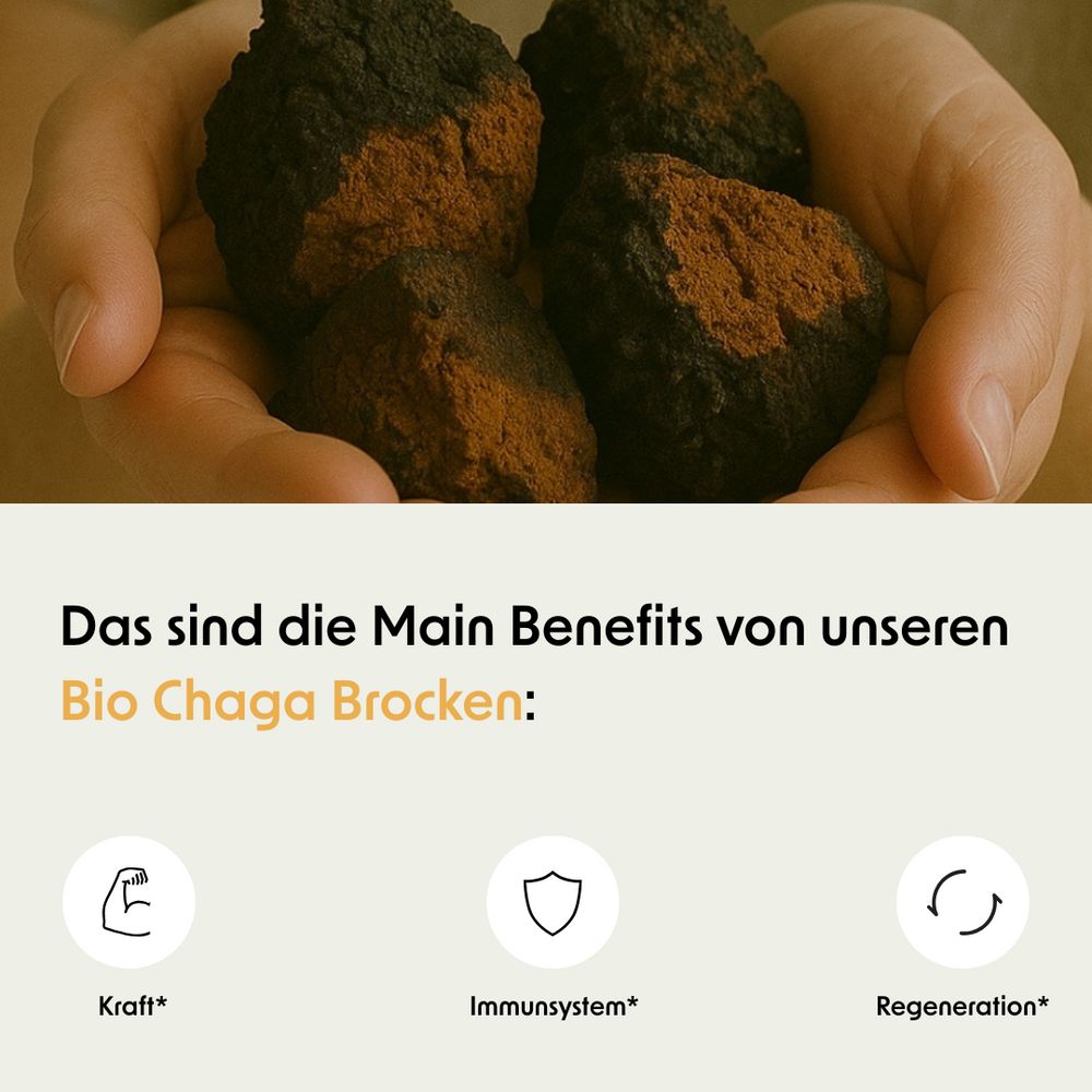 Hände halten mehrere Brocken. Text: Das sind die Main Benefits von unseren Bio Chaga Brocken: Kraft, Immunsystem, Regeneration.