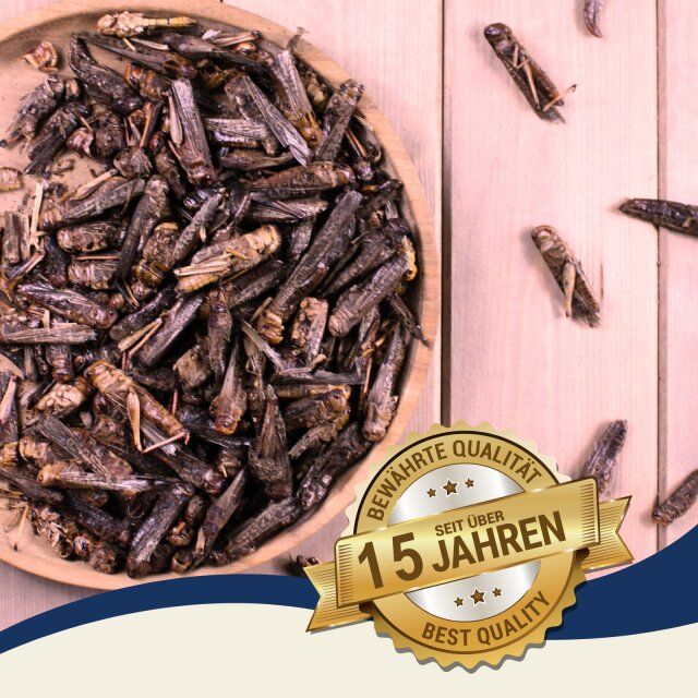 Getrocknete Heuschrecken in einer Holzschale. Aufschrift: Bewährte Qualität, Seit über 15 Jahren, Best Quality.