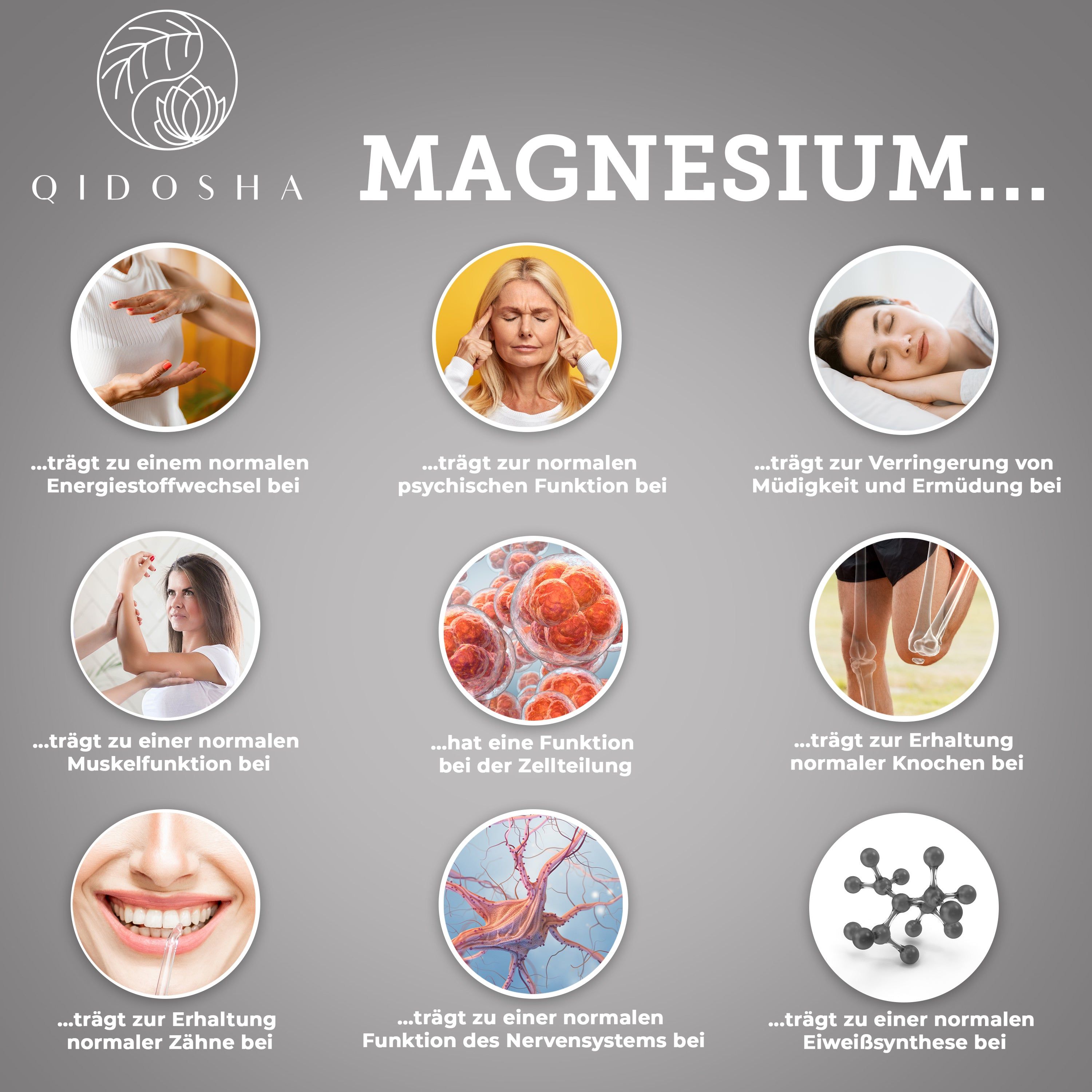 Qidosha Magnesium-Infografik: Vorteile von Magnesium für Körperfunktionen.
