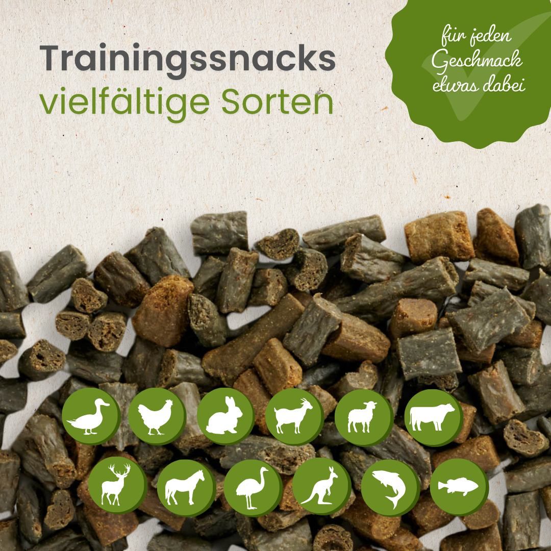 Haufen von braunen Hundeleckerlis in verschiedenen Formen und Größen. Oben: 'Trainingssnacks, vielfältige Sorten'.
