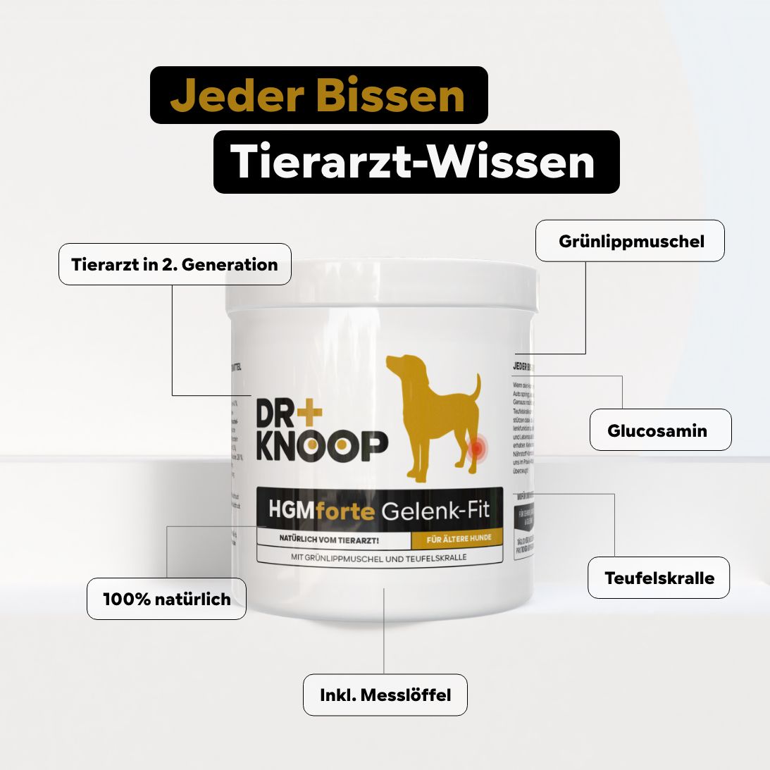 Produktglas mit DR+ KNOOP, HGMforte Gelenk-Fit. Pfeile zeigen auf Inhaltsstoffe: Grünlippmuschel, Glucosamin, Teufelskralle.