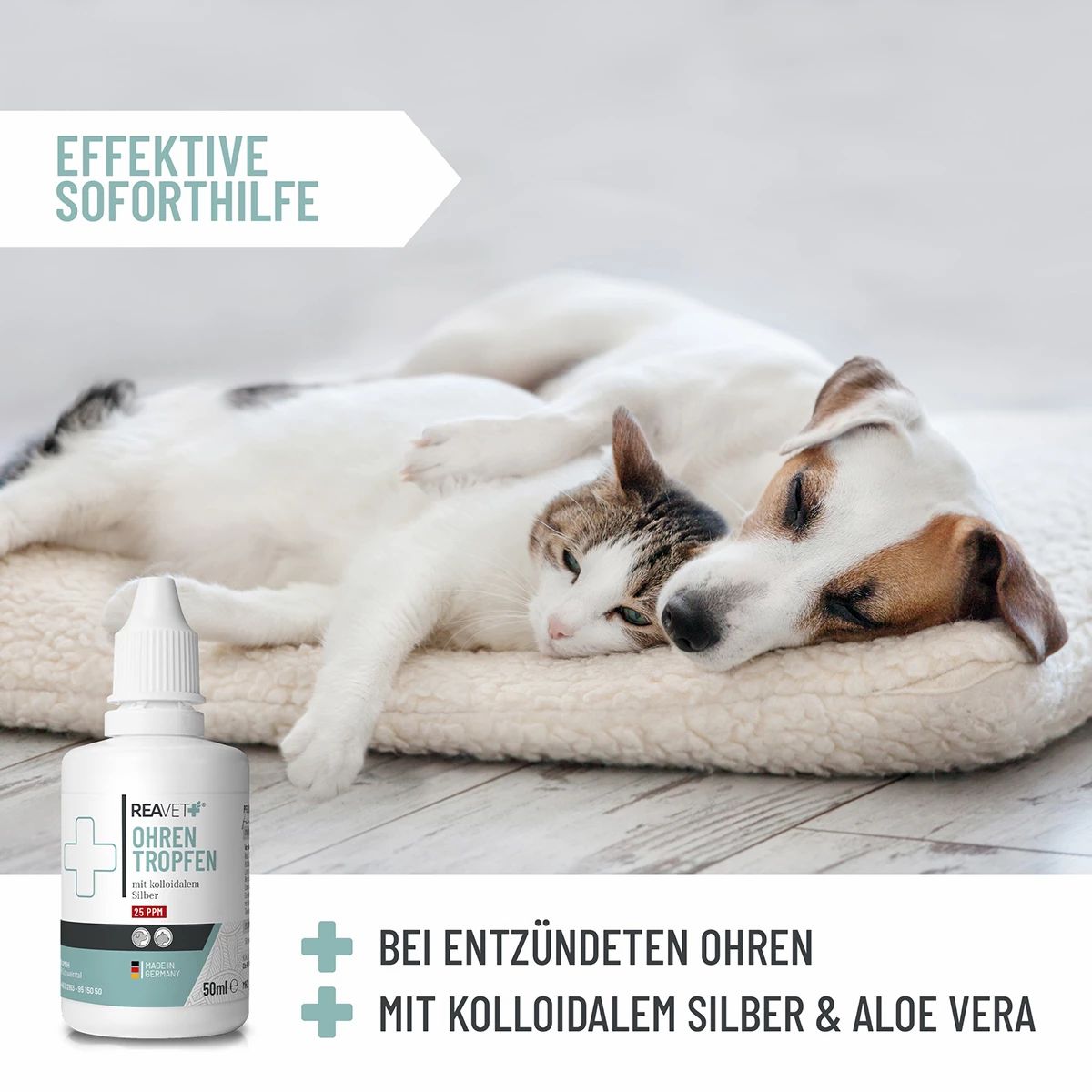Ohrentropfen mit kolloidalem Silber - ReaVET