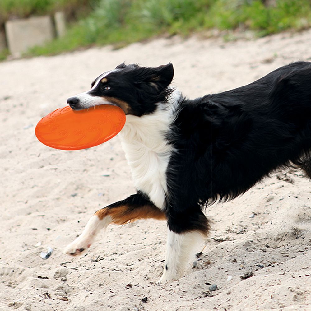 Wurfscheibe Flying Fun der ultimative Spass Hunde Spielzeug Wurfspielzeug