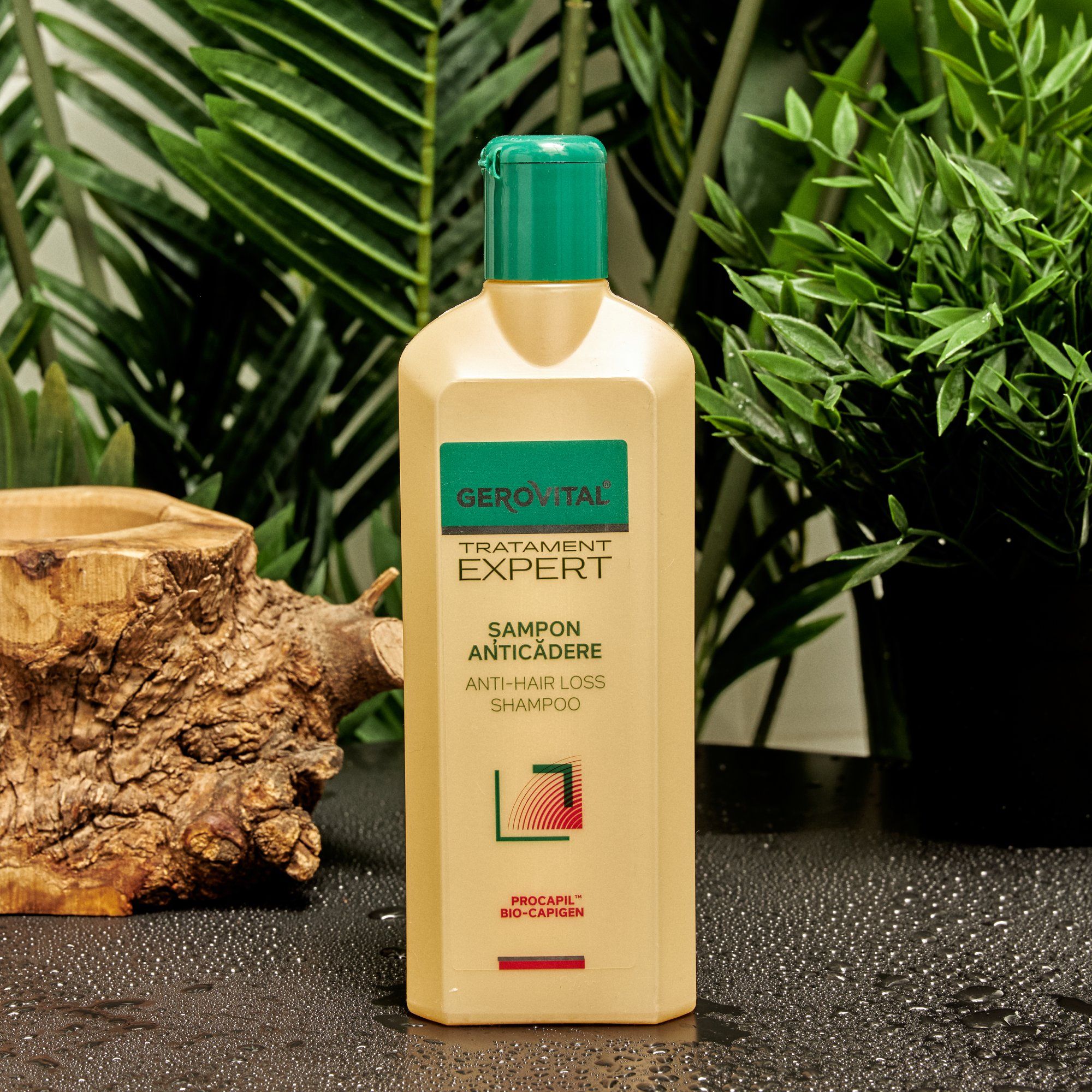 Beige Shampoo-Flasche mit grünem Deckel. Aufschrift: Gerovital, Tratament Expert, Sampon Anticadere, Anti-Hair Loss Shampoo. Logo. Auf Tisch mit Pflanzen.