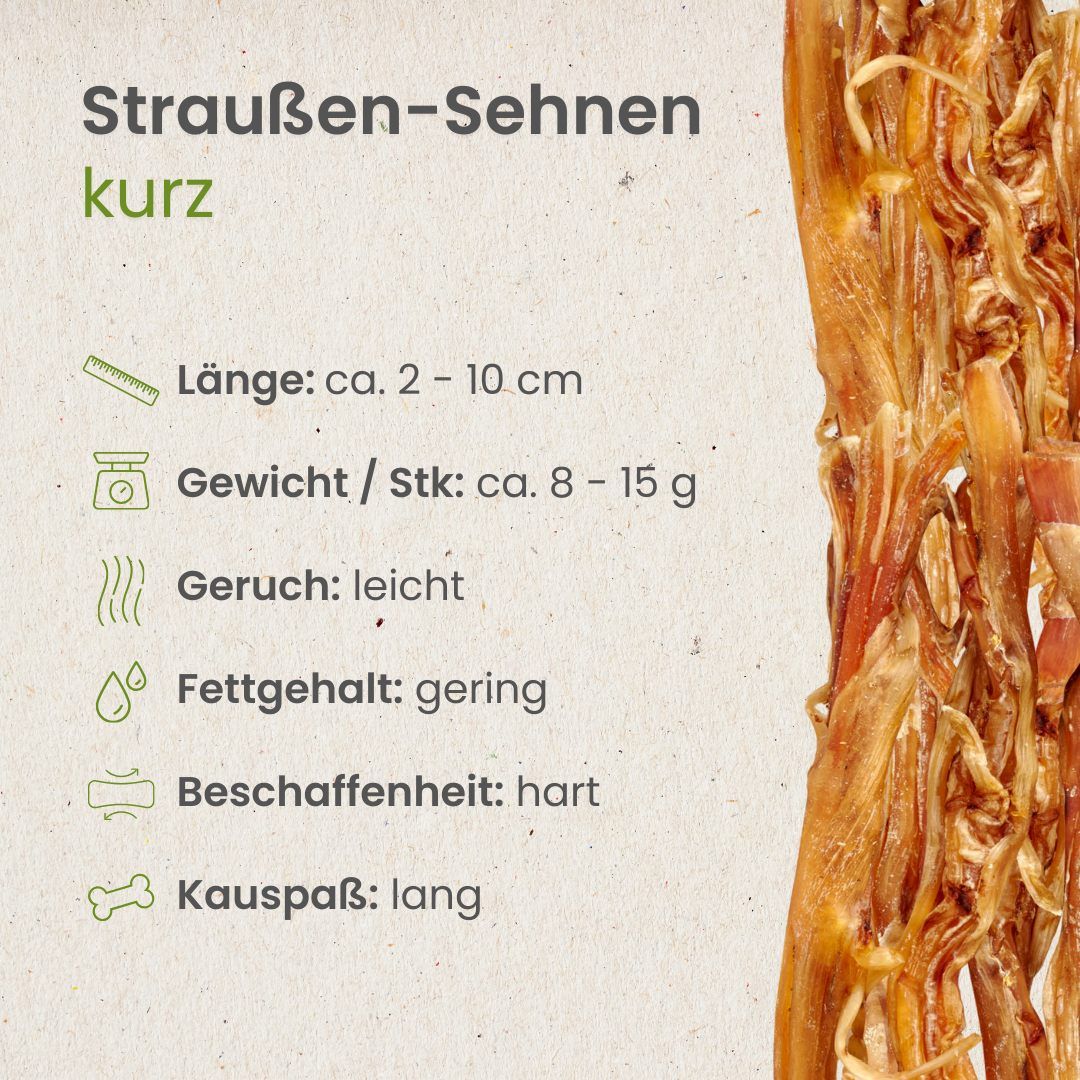 Drei getrocknete Straußen-Sehnen, 100% Strauß, proteinreich, fettarm.