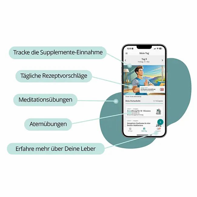 Smartphone-App mit Menüpunkten: Supplemente, Rezepte, Meditation, Atemübungen und Informationen zur Leber. Grafik eines Mannes.
