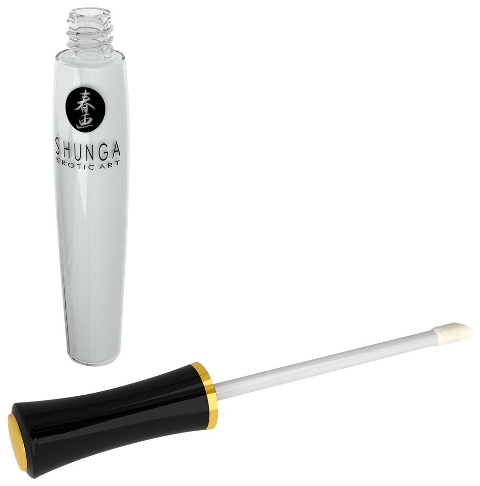 Shunga Secret Set New Carnal Pleasures