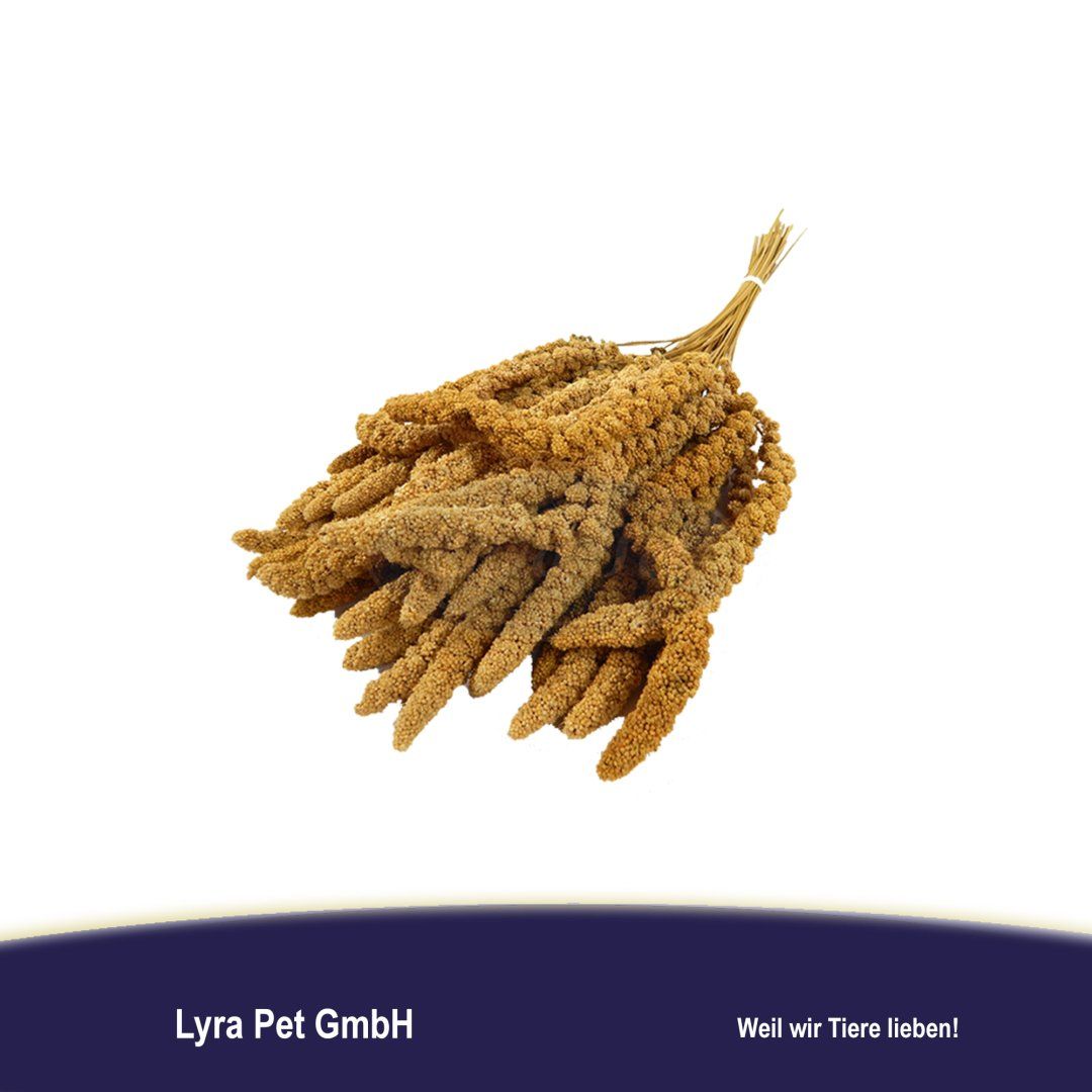 Lyra Pet® Kolbenhirse gelb