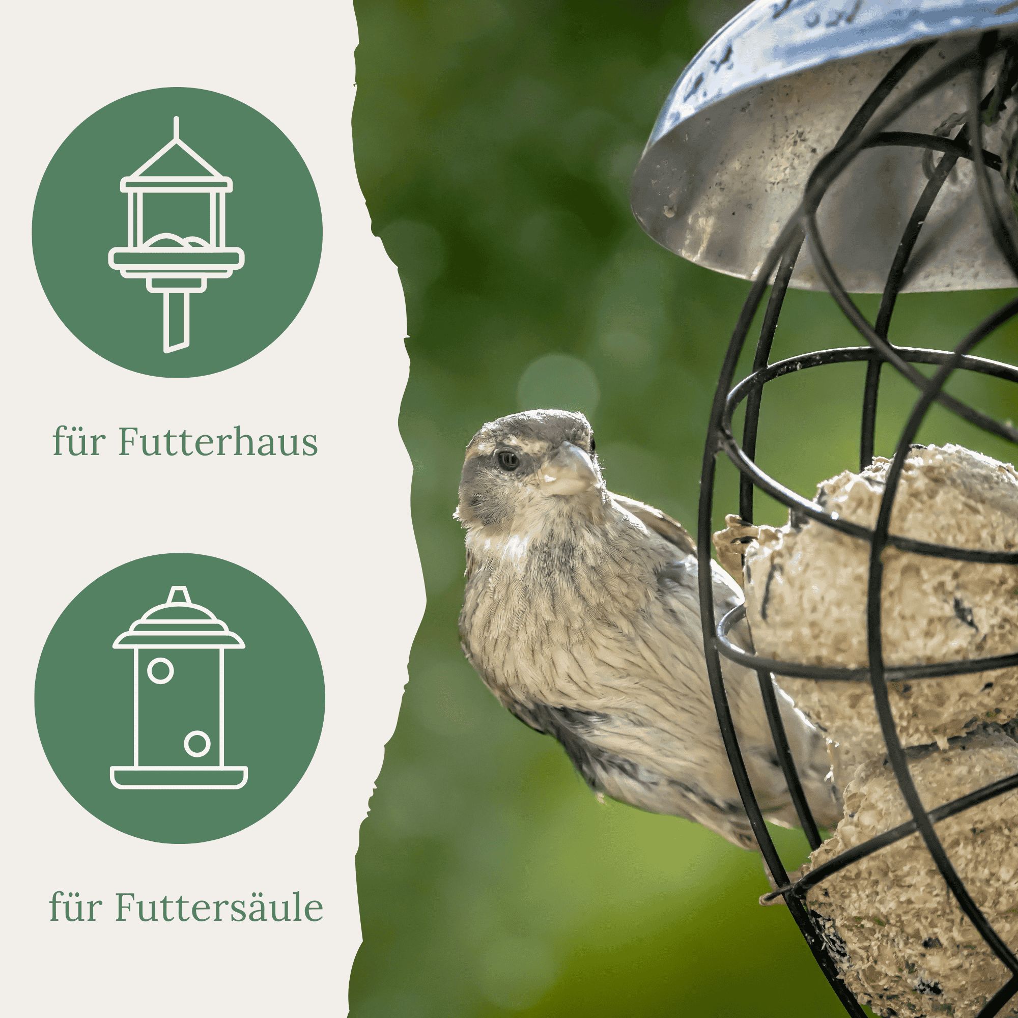 Vogel in Futterhaus und Futtersäule. Text: für Futterhaus, für Futtersäule. Grüner Hintergrund mit Symbolen.