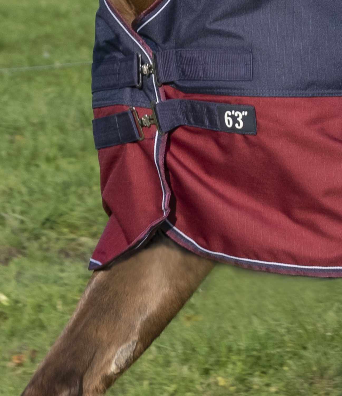 Equi-Theme TYREX High Neck