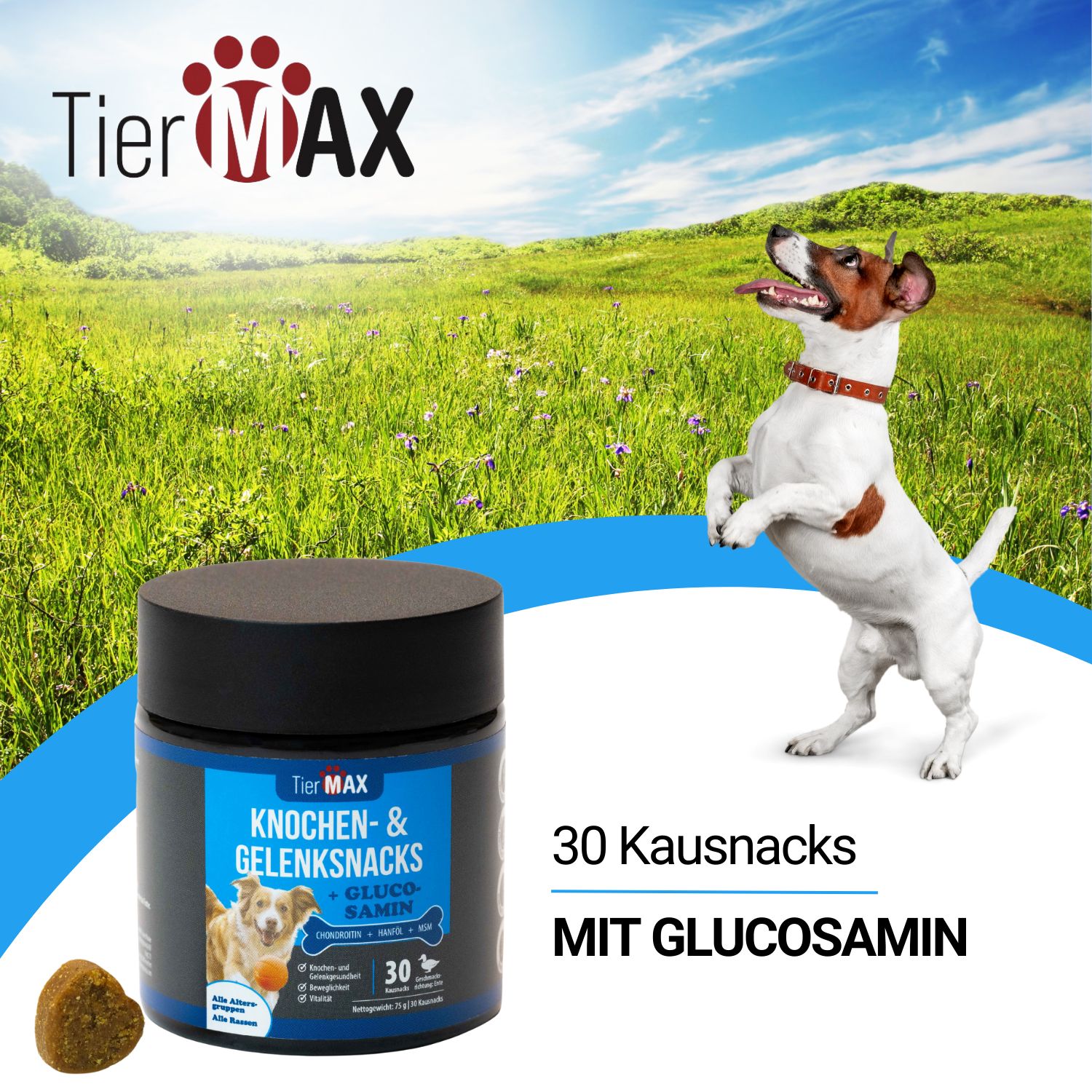 Tiermax Knochen & Gelenksnacks