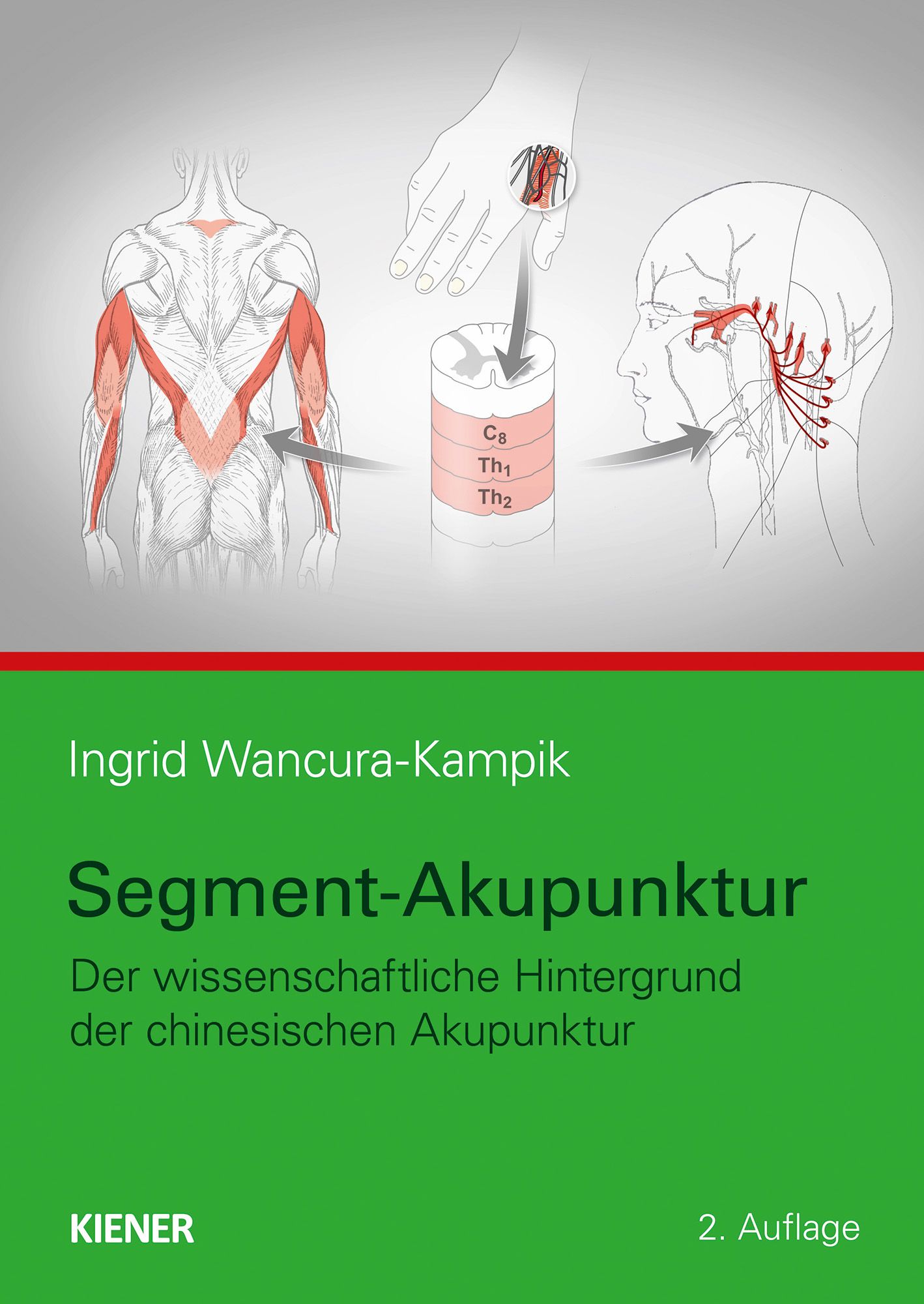 Segment Akupunktur