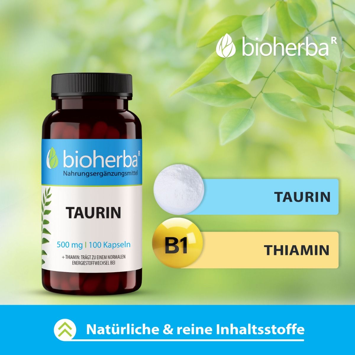 Bioherba Taurin 100 Kapseln