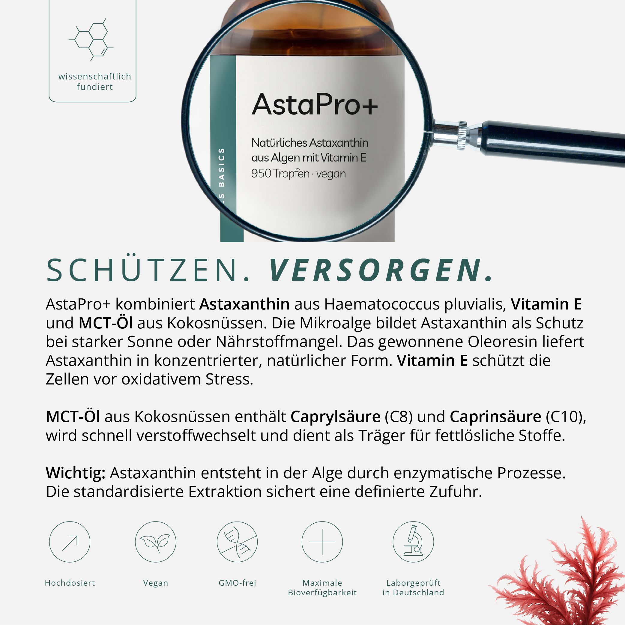 Braune Glasflasche mit Pipette, vergrößert durch eine Lupe. Text: "Schützen. Versorgen.". Produktinformationen und Inhaltsstoffe.
