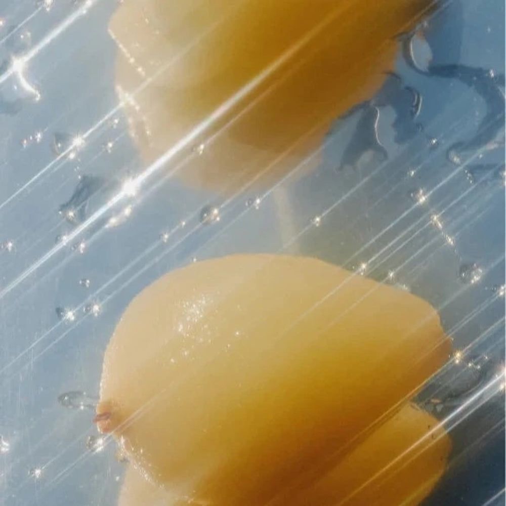 Zero Skin Frische Conditioner, Citrus Cocktail, glanzverleihend pflegend