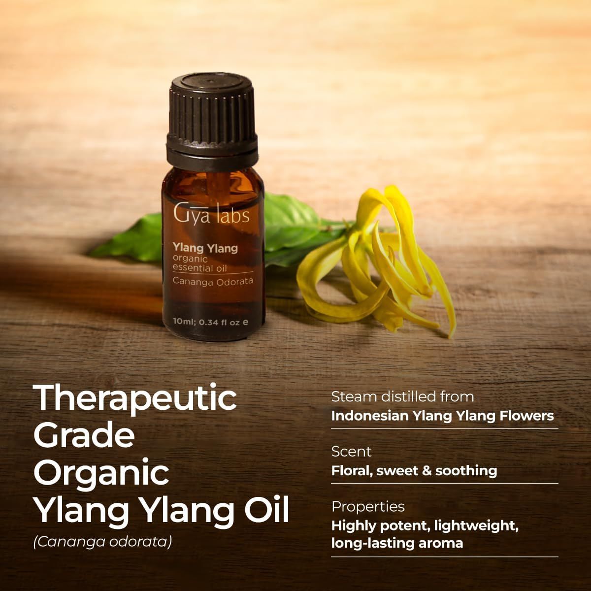 Braune Glasflasche mit schwarzem Deckel. Text: Therapeutic Grade Organic Ylang Ylang Oil. Blüten und Blätter.