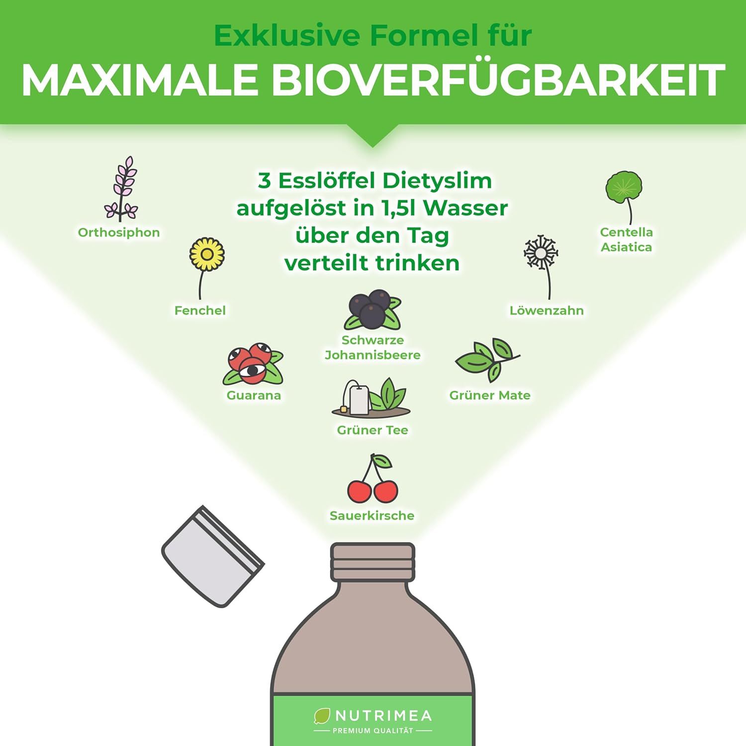 Grafik mit Zutaten: Orthosiphon, Fenchel, Guarana, Schwarze Johannisbeere, Grüner Tee, Sauerkirsche, Löwenzahn, Grüne Mate, Centella Asiatica.