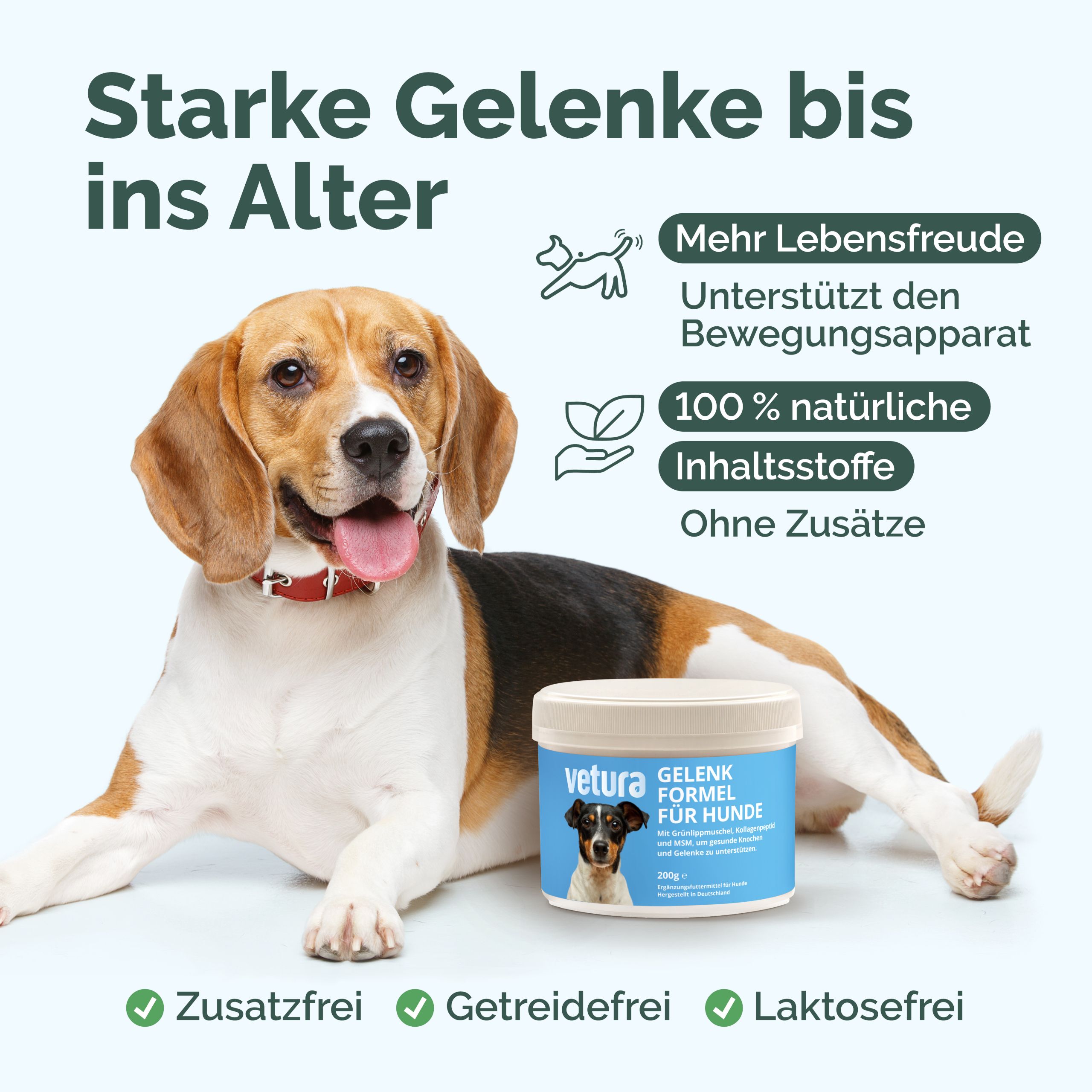 Hund neben Dose. Text: Starke Gelenke bis ins Alter. 100% natürliche Inhaltsstoffe. Ohne Zusätze. Zusatzfrei, Getreidefrei, Laktosefrei. Dose: Vetura Gelenk-Formel für Hunde.