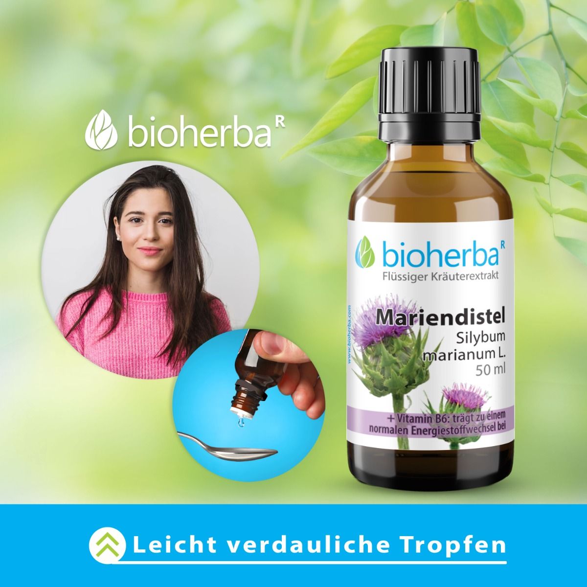 Mariendistel Silybum marianum L. Tropfen Tinktur 50 ml PZN 17187675