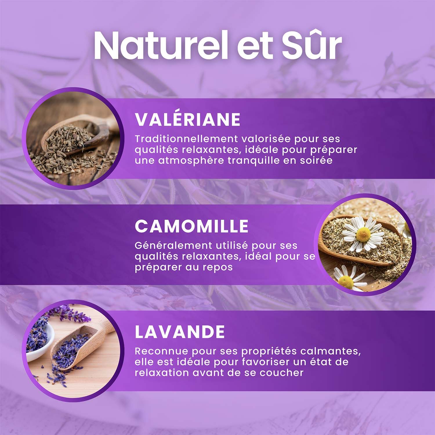 Trois herbes : valériane, camomille, lavande. Descriptions des propriétés et bienfaits pour la relaxation avant le coucher.