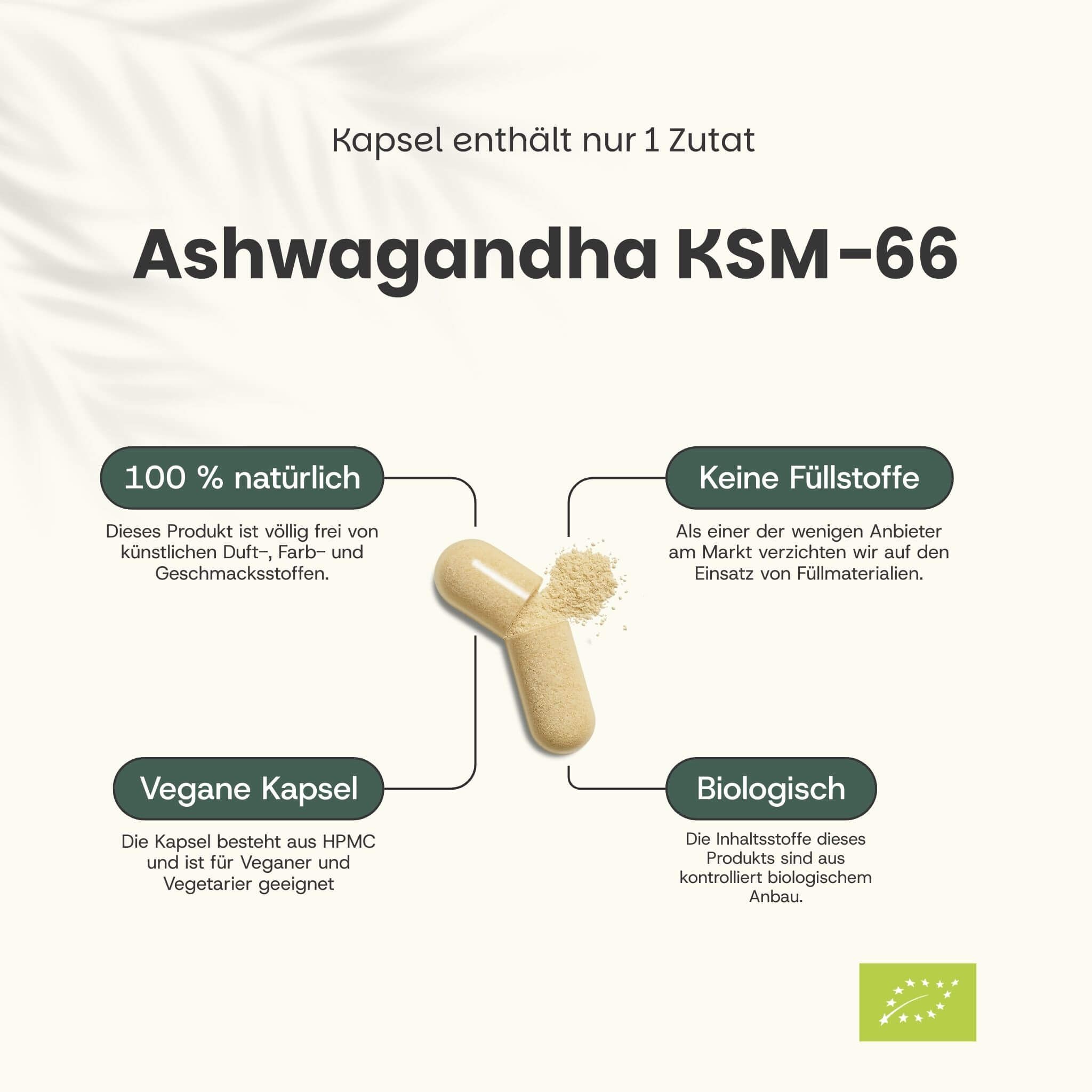 Beutel mit Ashwagandha KSM-66 Kapseln. Text: 100% natürlich & Bio, 40 Kapseln. Grüne und gelbe Elemente.