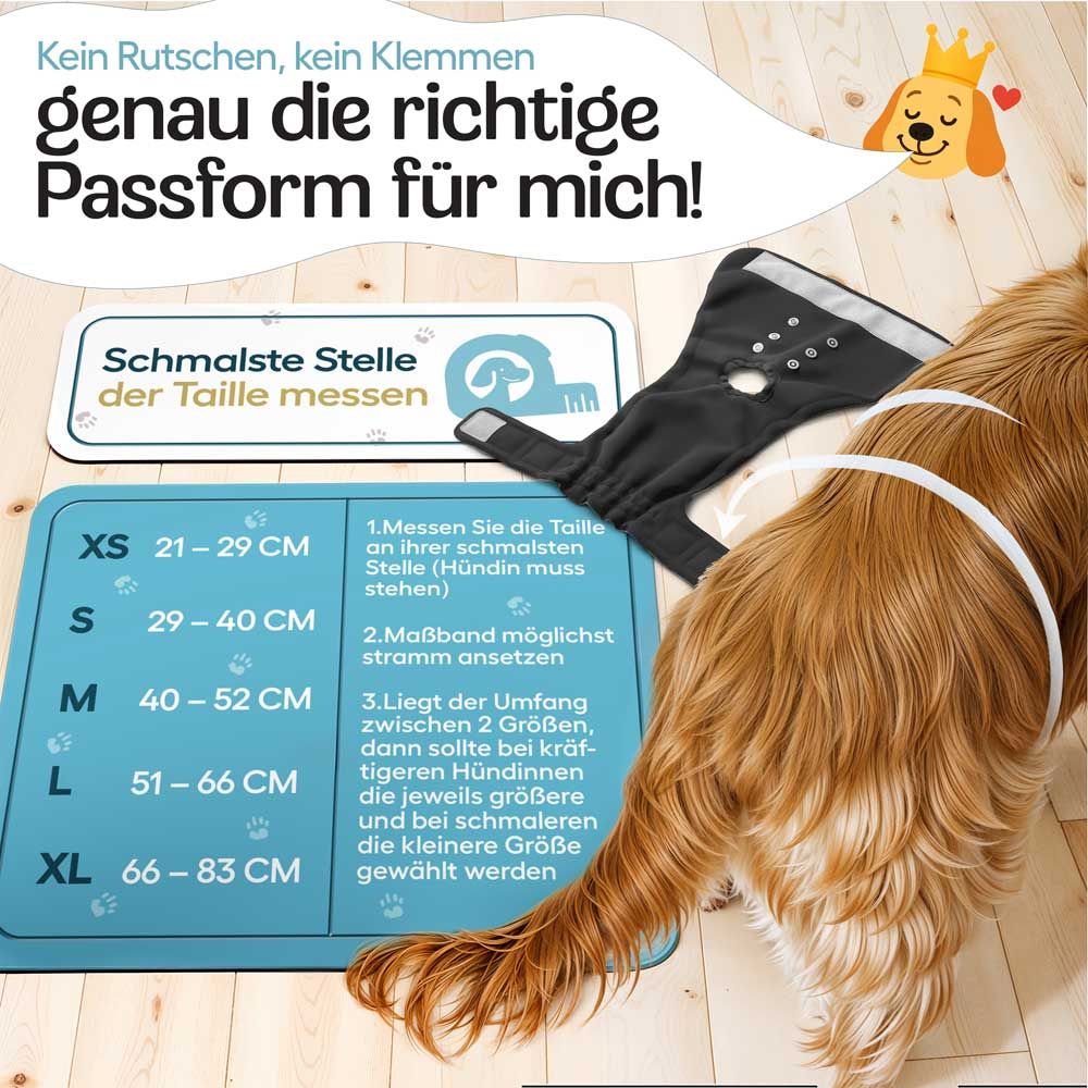 Hündin mit Windel. Größentabelle: XS bis XL. Messen der Taille. Text: Passform für mich!