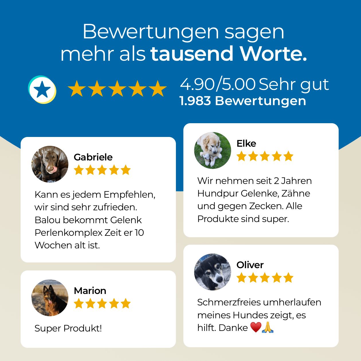 Bewertungen von Kunden. Sternebewertungen und Zitate. Produktnamen und Logos sind nicht sichtbar.