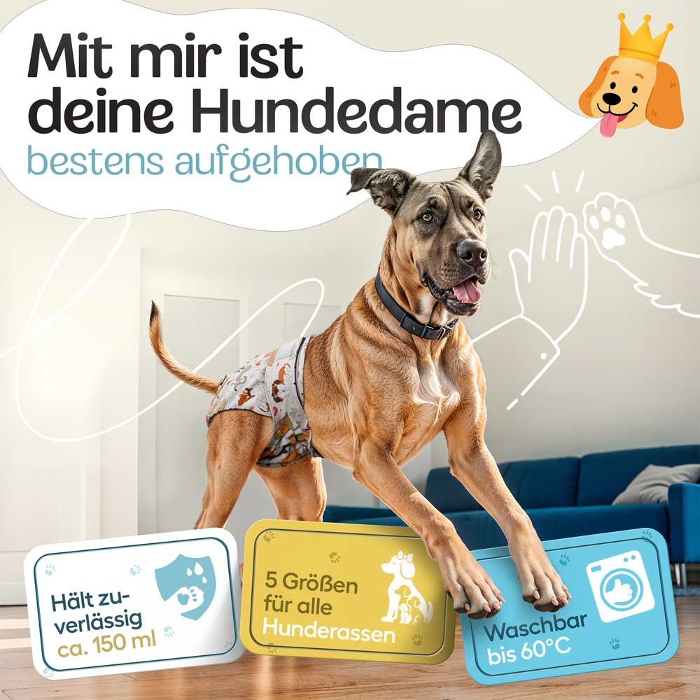 Hund mit Windel. Text: Hält zuverlässig ca. 150 ml, 5 Größen für alle Hunderassen, Waschbar bis 60°C.
