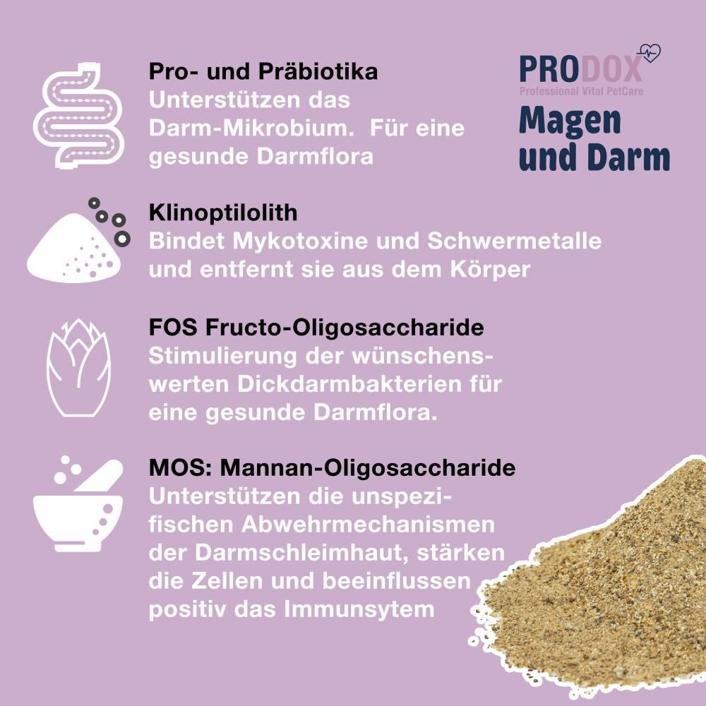 Lila Hintergrund mit Text und Illustrationen. PRODOX, Magen und Darm, INSTANT RELIEF POWDER. Haufen braunes Pulver. Illustrationen zu Probiotika, Klinoptilolith, FOS, MOS.