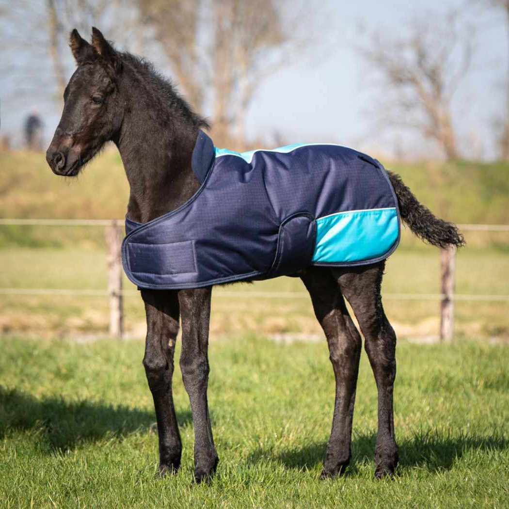 Harry`s Horse Fohlendecke