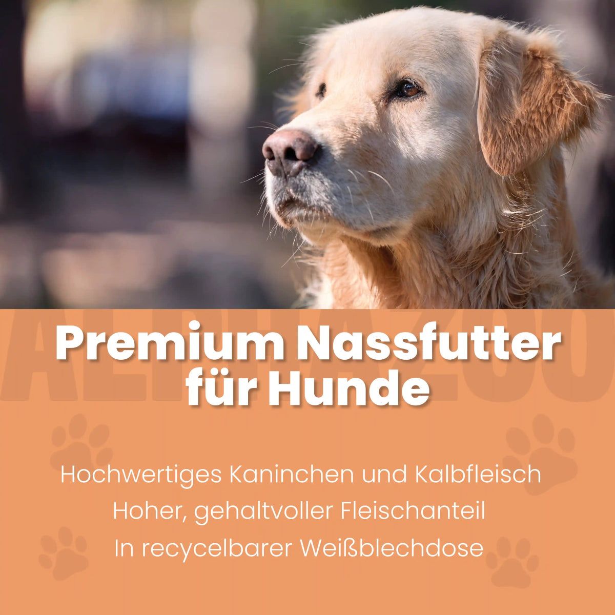 alphazoo Kaninchen + Kalb Nassfutter für Senior Hunde